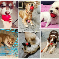 Pet balls Pet rubber toys Pet chew balls Dog bitting balls Rubber solid pet ball 7cm Red Color