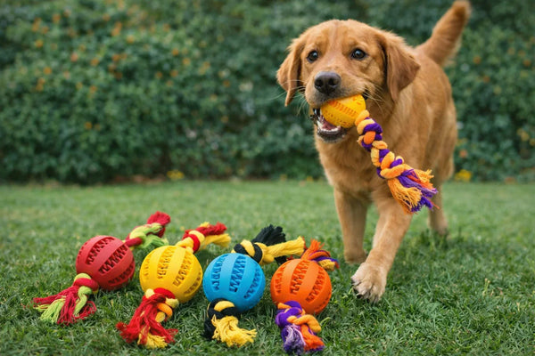 Colorful Rope Ball Dog Toy (Dental Chew and Tug Toy) 1 Pcs Random Color