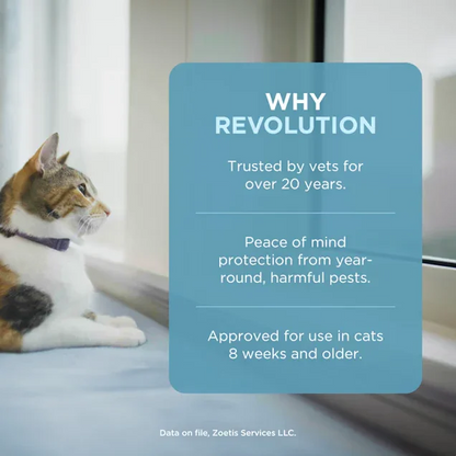 Revolution Plus Topical Solution for Cats and Rabbits Weighing 2.6-7.5kg