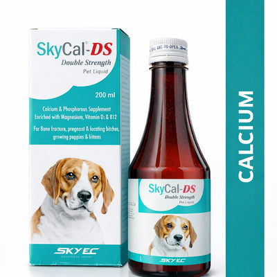 SKYCAL-DS Double Strength Pet Syrup -200ml