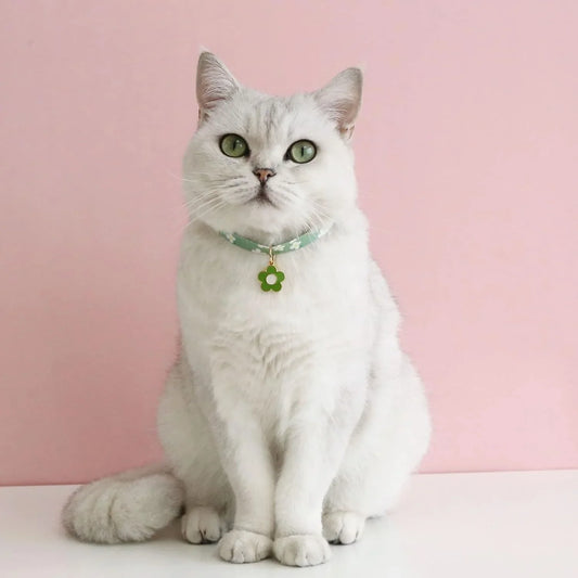 Flower Pendant with Bell Cat and Puppy Collar Colorful Collar,Adjustable Safety Kitten Collar with Mini Bell