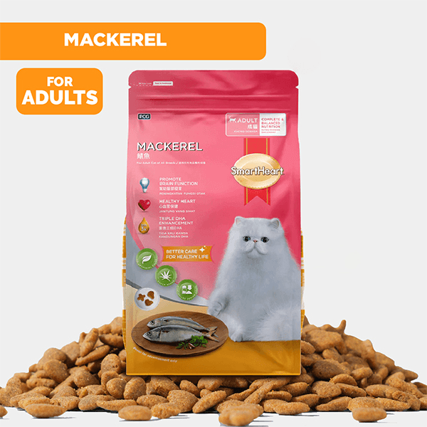 SmartHeart Adult Dry Cat Food Mackerel (1.2kg)