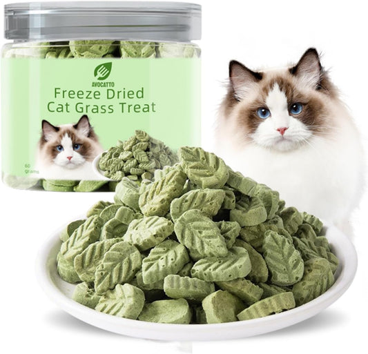 Cat Grass Sticks for Cat, Cat Grass Teething Stick Snack Canned for Indoor Cats, Cat Grass Treats for Teeth Cleaning and Hairball Relief