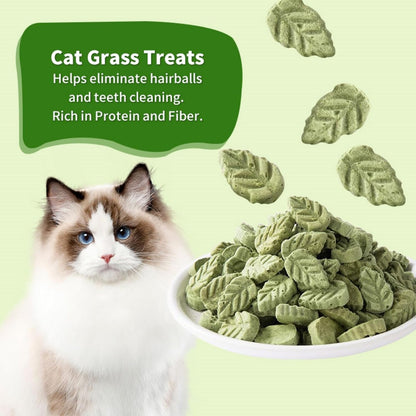 Cat Grass Sticks for Cat, Cat Grass Teething Stick Snack Canned for Indoor Cats, Cat Grass Treats for Teeth Cleaning and Hairball Relief