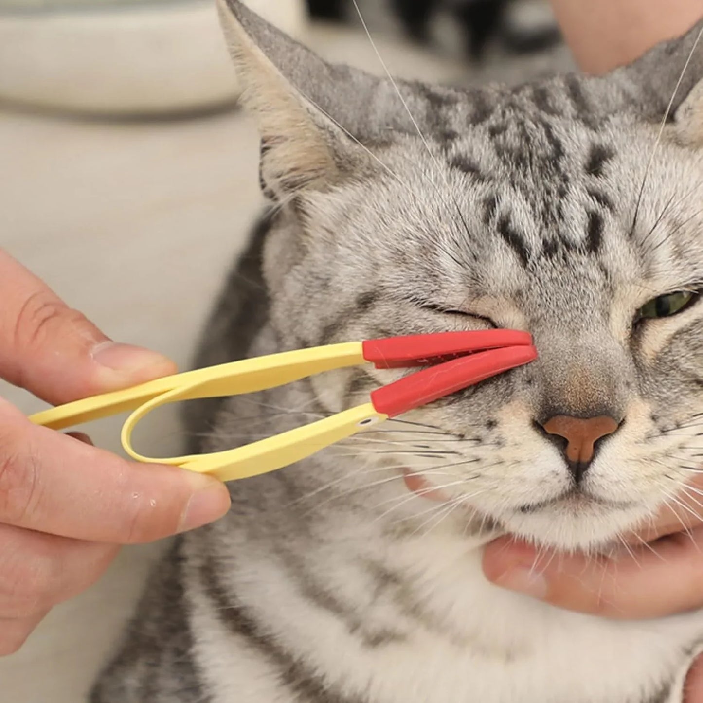 1 Pcs PET Eye Cleaning Brush Set, Ergonomic for Tear Stain Removal, Portable Cat Comb for Daily Use, Small Size for Easy Handling