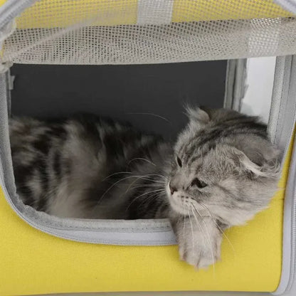 Transparent Plastic Bag Pet Carrier Backpack - Breathable Space Capsule Design for  Cats, Portable Outdoor Travel Bag