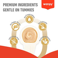 Wanpy Lickable Creamy Spoon Cat Treat Salmon 16gm 1pcs