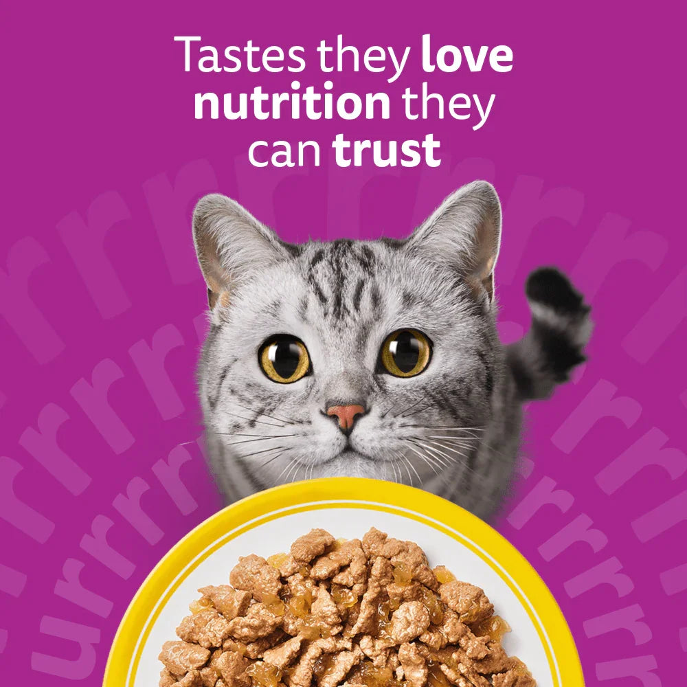 WHISKAS® 1+ Adult Wet Cat Food Pouches in Jelly with Chicken 85g