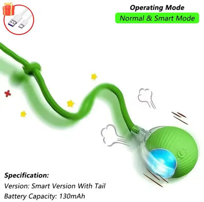 Cat Interactive Ball Cat Toy, Automatic Rolling Ball with Tail, Rechargeable Smart Pet Interactive Toy, Intelligent cat and mouse gam, No Warranty