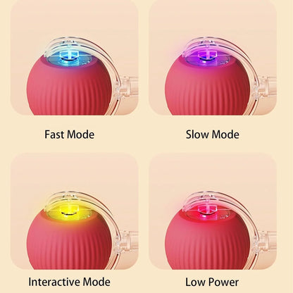 Cat Interactive Ball Cat Toy, Automatic Rolling Ball with Tail, Rechargeable Smart Pet Interactive Toy, Intelligent cat and mouse gam, No Warranty