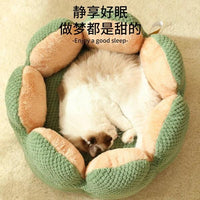 Cactus petal pet bed winter thick warm cat bed sleeping soft dog bed dog mat Washable Pet Dog Cat Bed