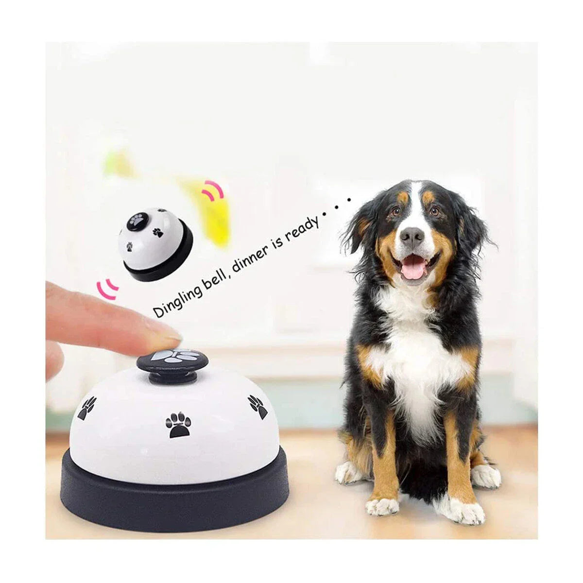 Cat Dog Feeding Dinner Bell Toy Pet Training Ring Bell Educational Toy Pet Training