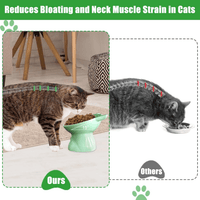 Cat Bowls, Cat Anti Vomit Food Bowl, 15 Degree Raised Anti Tip Pet Bowl for Water and Protecting Spine