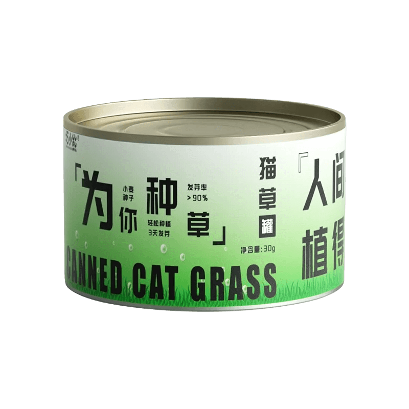 cat-canned-cat-grass-plant