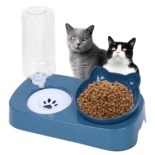 Double Dog Cat Bowls - Pets Water and Food Bowl Set, 15°Tilted Water and Food Bowl Set with Automatic Waterer Bottle for Small or Medium Size Dogs Cats