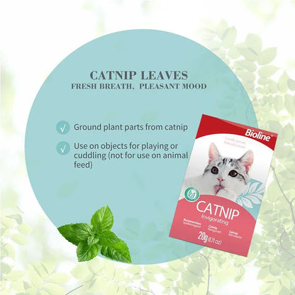 Bioline Catnip Invigorating Powder 20g