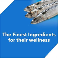 Drools Adult Dry Cat Food, Ocean Fish, 3kg