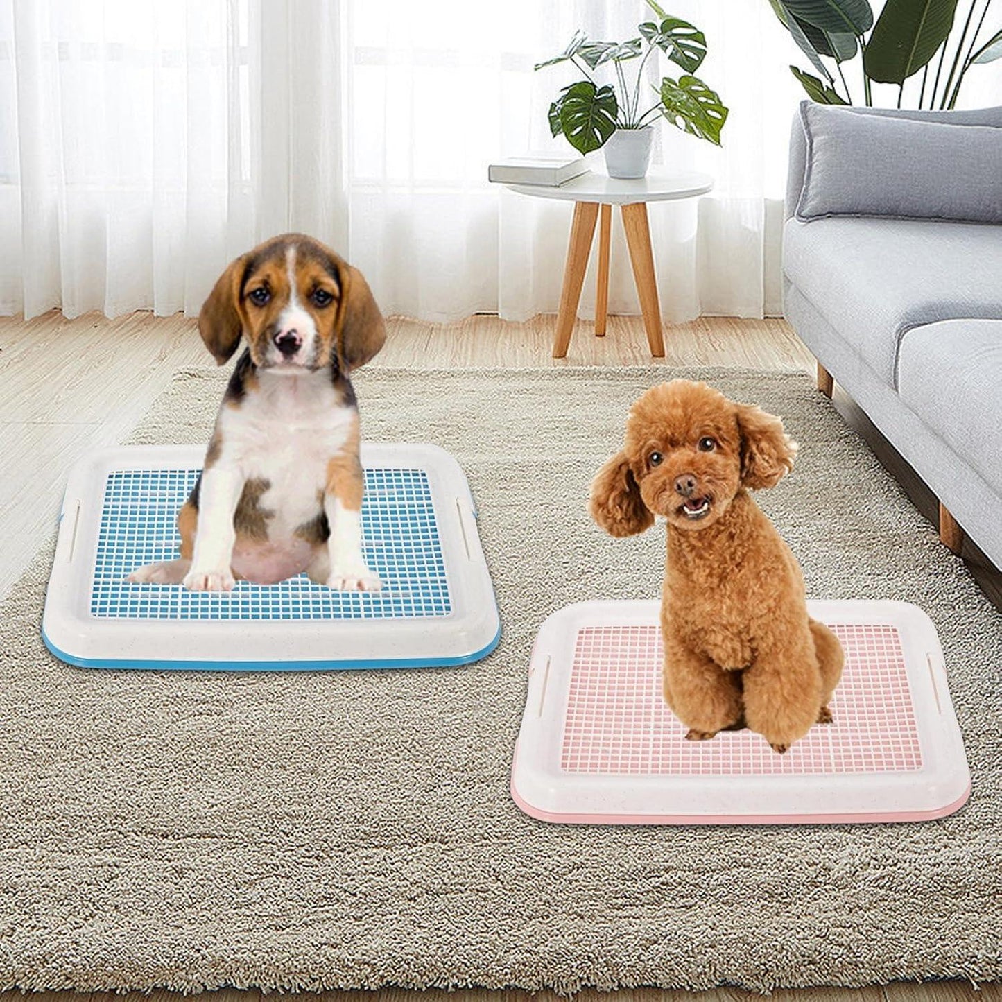 Dog Toilet, Small Pet Dog Teddy Dog Toilet Hollow Anti-Skid Clean Potty Pet Supplies