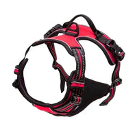Dog Medium Harness Adjustable No-Pull Dog Harness | with Padded Vest and Dual Leash Clips | Prevents Choking and Provides Comfortable Walking Experience