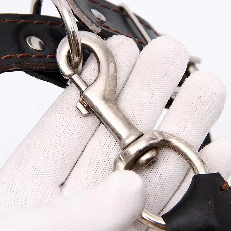 120cm Leather Braided Dog Leash Black Padded Handle Pet Walking Running Leads with Spring Buffer for Medium Large Dogs Labrador