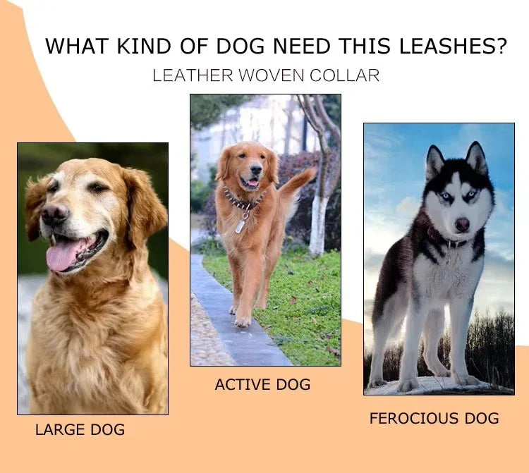 120cm Leather Braided Dog Leash Black Padded Handle Pet Walking Running Leads with Spring Buffer for Medium Large Dogs Labrador
