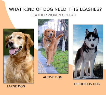 120cm Leather Braided Dog Leash Black Padded Handle Pet Walking Running Leads with Spring Buffer for Medium Large Dogs Labrador