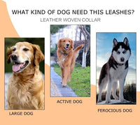 120cm Leather Braided Dog Leash Black Padded Handle Pet Walking Running Leads with Spring Buffer for Medium Large Dogs Labrador