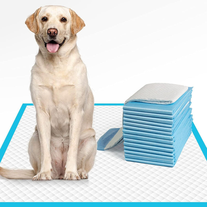 Super Absorbent Pee Pads Pet Training Disposable for Dogs and Cats Training Puppy Pee Pads Super Absorbent & Leak-Proof Large