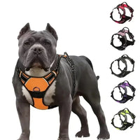 Dog Medium Harness Adjustable No-Pull Dog Harness | with Padded Vest and Dual Leash Clips | Prevents Choking and Provides Comfortable Walking Experience
