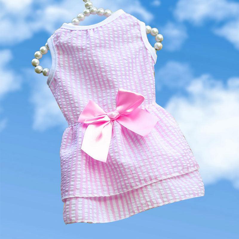 Bow knot Decor Round Neck Summer Skirt / Frock for Pet Cat Dress