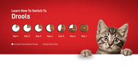 Drools Kitten(1-12 Months) Dry Cat Food, Real Chicken Flavour 3 Kg