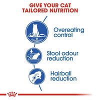 Royal Canin Indoor Long Hair Cat Food For Adult 2Kg