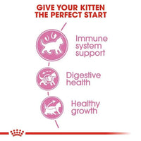 Royal Canin Kitten Cat Food Babycat 400g