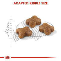Royal Canin Kitten Cat Food Babycat 400g