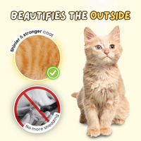 Vet Coach Omega 3 Fish Oil 50ml – Emulsified Cat Supplement
