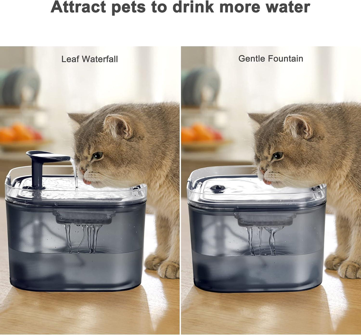 Automatic Pet Water Dispenser with Replacement Filters, 74oz/2.2L BPA-Free Water Fountain for Cats Inside with 2 Flow Modes