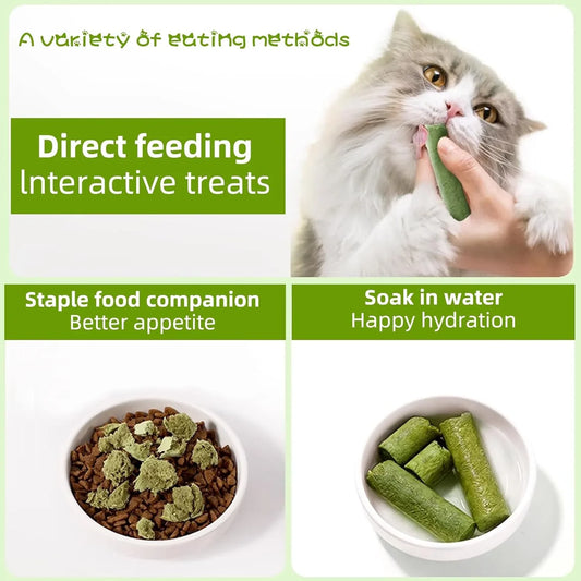 16pcs Cat Grass Teething Stick Jar set with Chicken Flavor, Cat Kittens Hairball Removal, Natural Dried Cat Grass for Cat Dental Care  (120g)