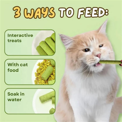 16pcs Cat Grass Teething Stick Jar set with Chicken Flavor, Cat Kittens Hairball Removal, Natural Dried Cat Grass for Cat Dental Care  (120g)