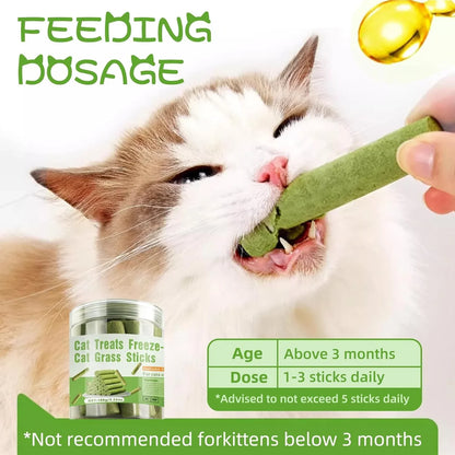 16pcs Cat Grass Teething Stick Jar set with Chicken Flavor, Cat Kittens Hairball Removal, Natural Dried Cat Grass for Cat Dental Care  (120g)