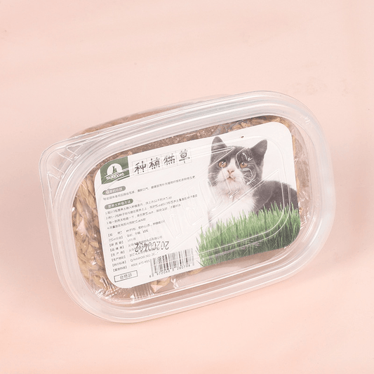 Reusable Nutritional Cat Grass Kit with Plastic Box