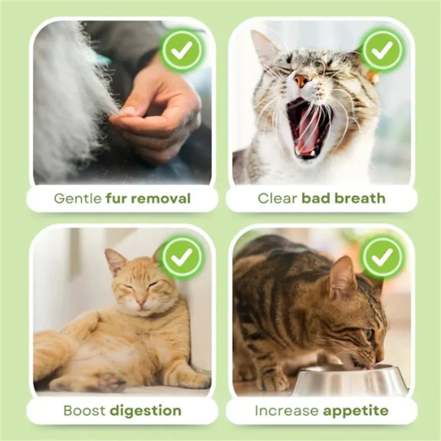 16pcs Cat Grass Teething Stick Jar set with Chicken Flavor, Cat Kittens Hairball Removal, Natural Dried Cat Grass for Cat Dental Care  (120g)