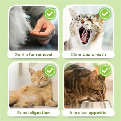 16pcs Cat Grass Teething Stick Jar set with Chicken Flavor, Cat Kittens Hairball Removal, Natural Dried Cat Grass for Cat Dental Care  (120g)