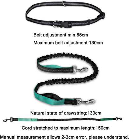 Hands Free Dog Leash, Adjustable Waist Belt and Dual-Handle Retractable Bungee Leash, Jogging Dog Leash with Reflective Stitching, Random Colors