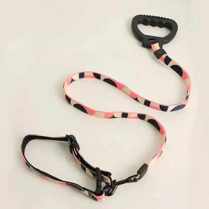 Dog Collar and Leash Set, Dog Collar with Safety Locking Buckle, Nylon Pet Training Leash with Comfortable Handle, Medium Large Dogs