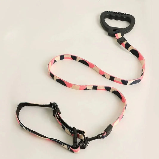Dog Collar and Leash Set, Dog Collar with Safety Locking Buckle, Nylon Pet Training Leash with Comfortable Handle, Medium Large Dogs