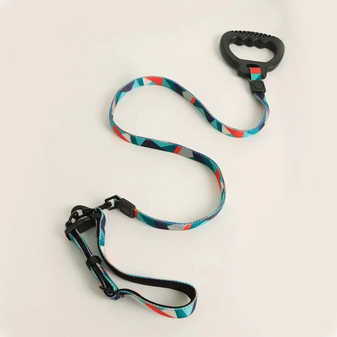 Dog Collar and Leash Set, Dog Collar with Safety Locking Buckle, Nylon Pet Training Leash with Comfortable Handle, Medium Large Dogs