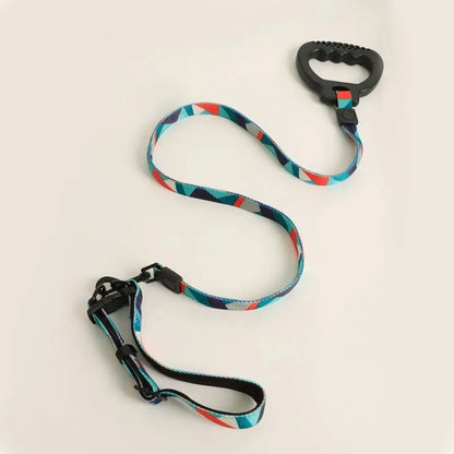 Dog Collar and Leash Set, Dog Collar with Safety Locking Buckle, Nylon Pet Training Leash with Comfortable Handle, Medium Large Dogs