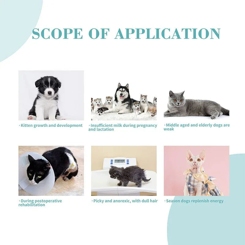 Bioline Probiotics for Cats & Dogs 3gX10pcs