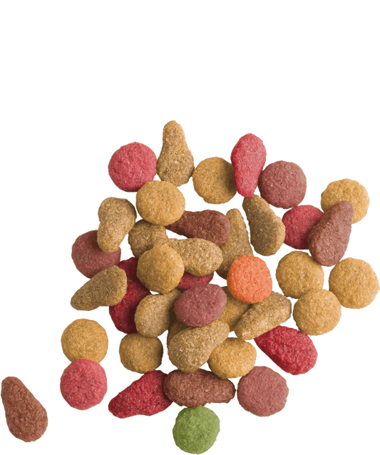 Lara_cat_food_fish_flavor