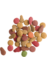 Versele Laga Lara Adult Fish 2KG